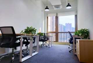 养殖尾水处理海精灵COD降解菌批发